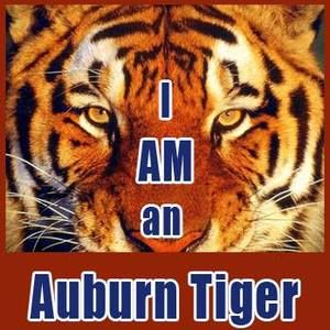 Meet your Posher, Sandy